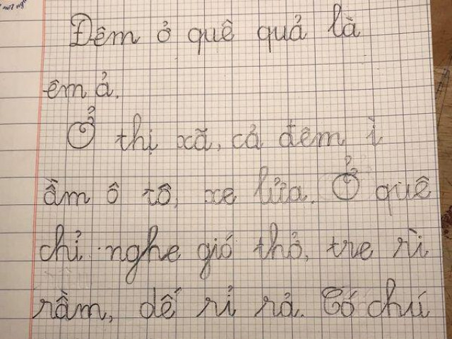 Bạn trẻ - Cuộc sống - Bài văn miêu tả của học sinh lớp 1 khiến phụ huynh sang chấn tâm lý