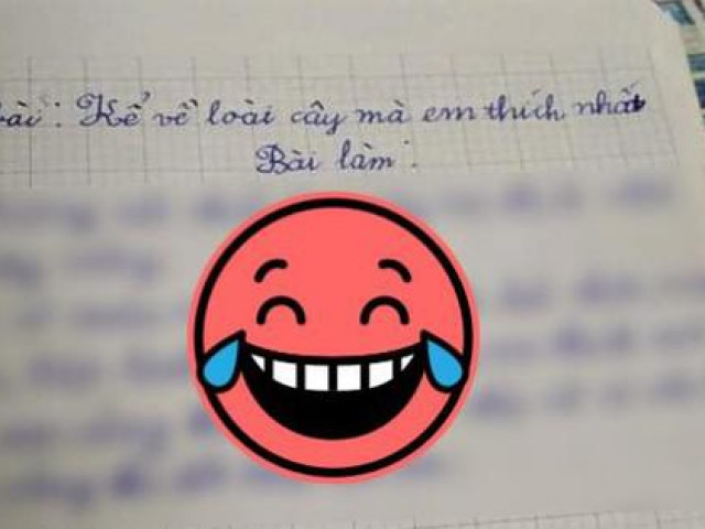 Bài văn tả cây của bạn nhỏ Tiểu học khiến netizen cười bò: Cây này thì ai cũng thích!