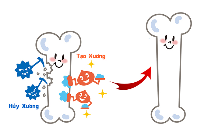 Không chỉ giúp tăng chiều cao, đây là 4 lợi ích hiếm có khiến bạn phải bổ sung ngay vitamin D3, K2 cho con - 2