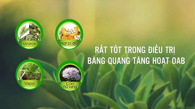 Chỉ cần 4 dấu hiệu này – Biết ngay bạn có đang bị bàng quang tăng hoạt hay không! - 2