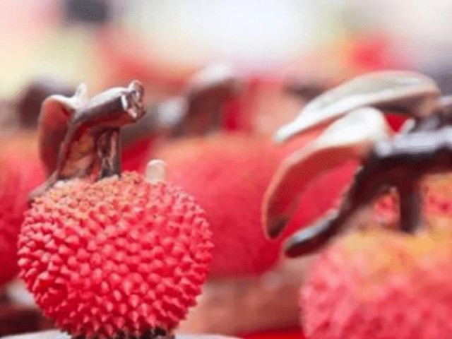 Thị trường - Tiêu dùng - Đắt ngang một chiếc xe Mercedes gần 2 tỷ đồng, quả vải gia lục có gì đặc biệt?