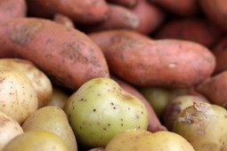 Ẩm thực - 4 loại củ rẻ bèo được tôn là thực phẩm trường sinh ở Nhật Bản