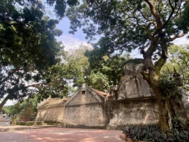 Tin tức trong ngày - Ly kỳ chuyện "thần" giữ đảo ở Hòn Dấu