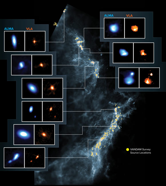 Các hệ thống sao non trẻ với đĩa tiền hành tinh cái thì đã tròn, cái còn méo mó được ghi nhận trong ánh sáng vô tuyến bởi ALMA (màu xanh) và VLA (màu cam) - Ảnh: NRAO / AUI / NSF