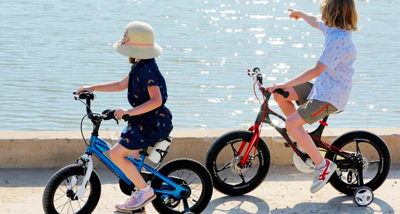 Giá xe đạp trẻ em theo độ tuổi của bé - 10