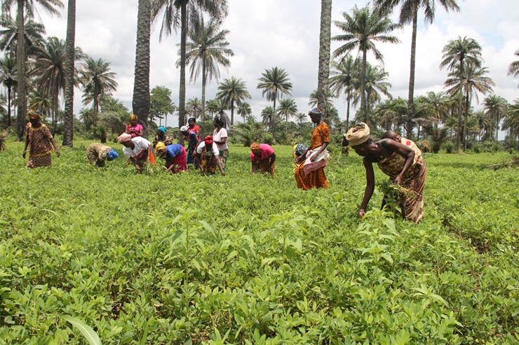 Sierra Leone&nbsp;là một quốc gia chìm trong các cuộc nội chiến và&nbsp;nghèo đói&nbsp;kể từ khi giành được độc lập vào năm 1961
