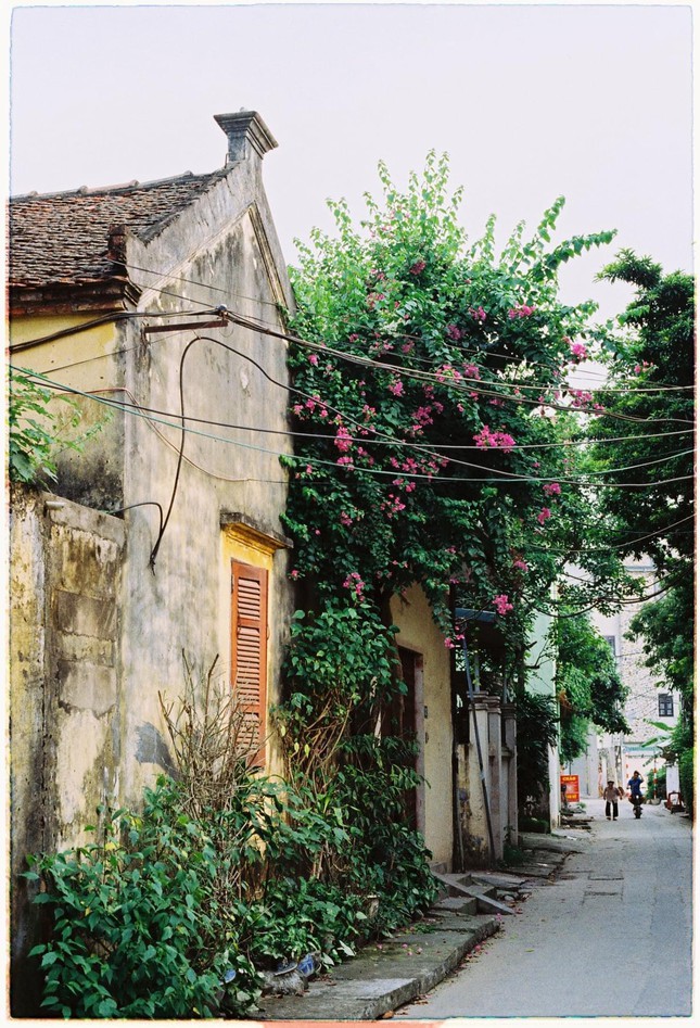 The beauty is like "passing the air"  of two famous ancient villages in Hanoi - 9