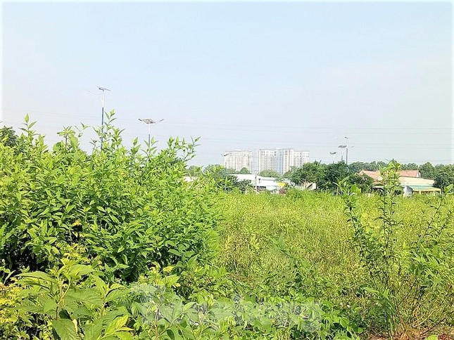 Trao đổi với PV Tiền Phong ngày 26/3, đại diện lãnh đạo Sở Xây dựng tỉnh Bình Dương cho biết, đến nay dự án Khu nhà ở Đại Nam vẫn chưa hoàn thiện các thủ tục pháp lý theo quy định. Do đó, dự án chưa có tên trong danh sách được mở bán theo quy định.
