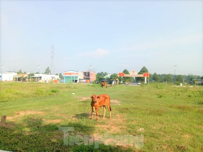 Vào thời điểm đó, Bộ Kế hoạch và Đầu tư thống nhất với đề nghị điều chỉnh giảm diện tích quy hoạch của UBND tỉnh Bình Dương cho phù hợp với quy hoạch chung xây dựng, quy hoạch sử dụng đất và để dành đất cho phát triển khu dân cư phục vụ người lao động trong khu công nghiệp.