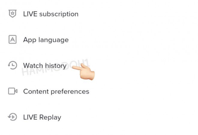 TikTok testing the function to find video viewing history - 1