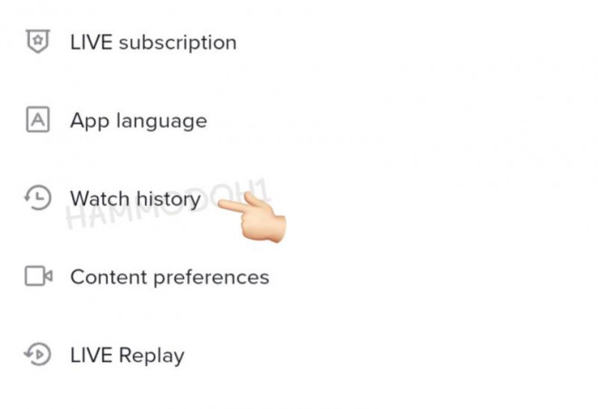 Tính năng "lịch sử xem video" mới hiện đang được TikTok thử nghiệm. Nguồn: @hammodoh1.