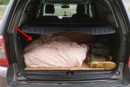 Pháp luật - Tội ác của “cậu ấm” phải lòng người yêu của bạn thân: Sự biến mất của hai cô gái