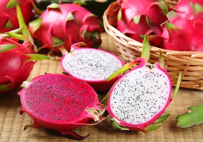 The great cavalry when eating dragon fruit everyone needs to know - 4