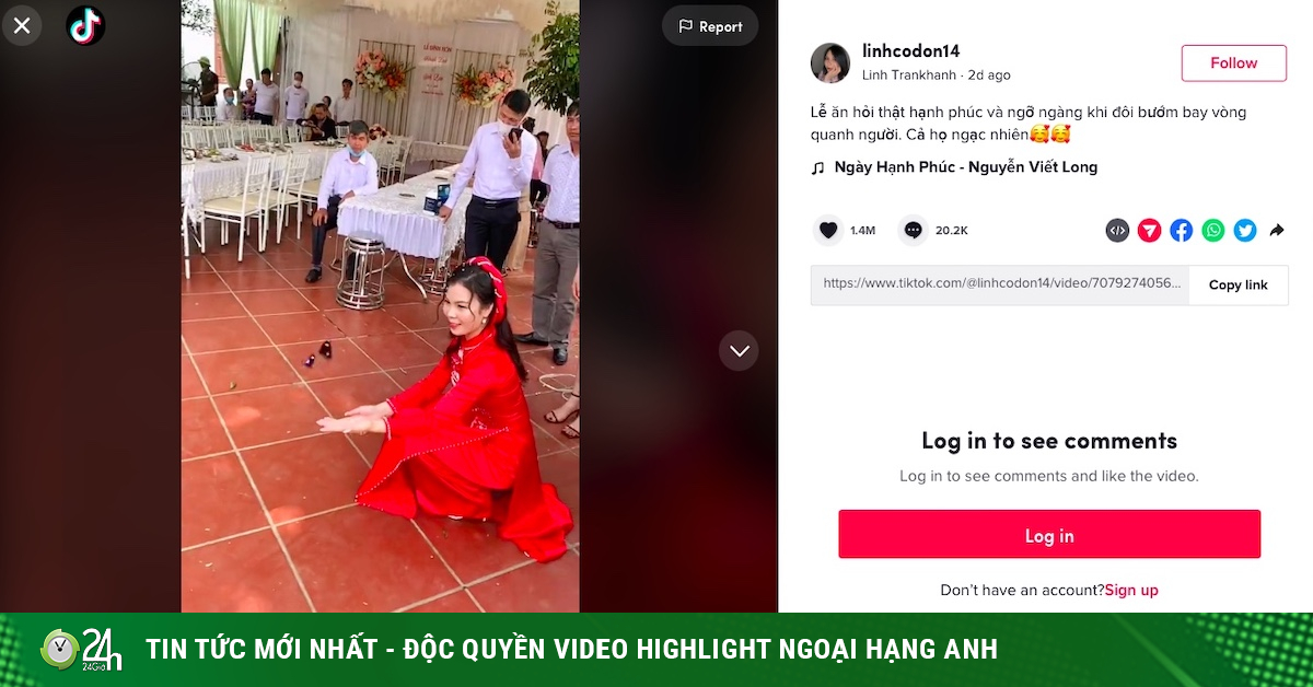 Clip of butterflies flying around the beautiful bride attracts 14.5 million views on TikTok-Technology