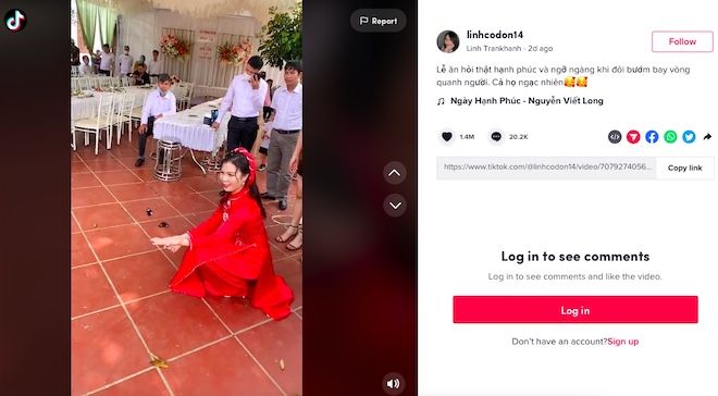Clip of butterflies flying around the beautiful bride attracts 14.5 million views on TikTok - 1