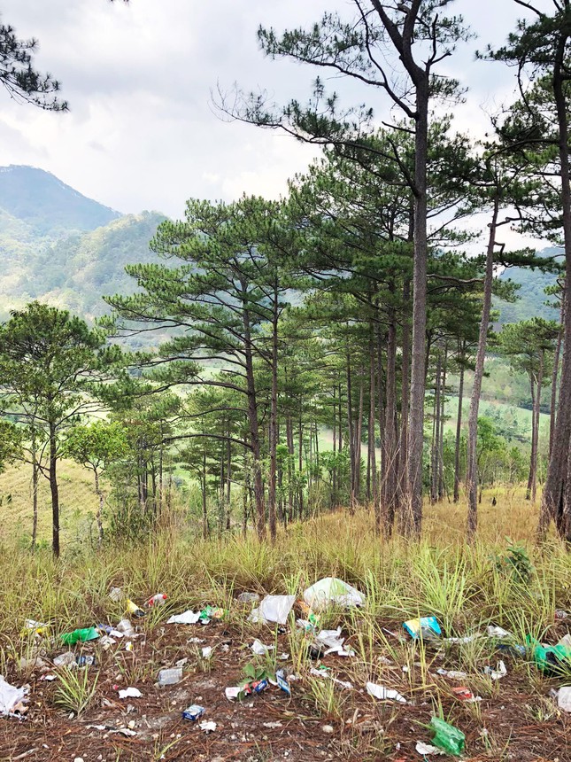 Littering rubbish on the pine hill, the 'cloud hunting' spot in Da Lat - 2