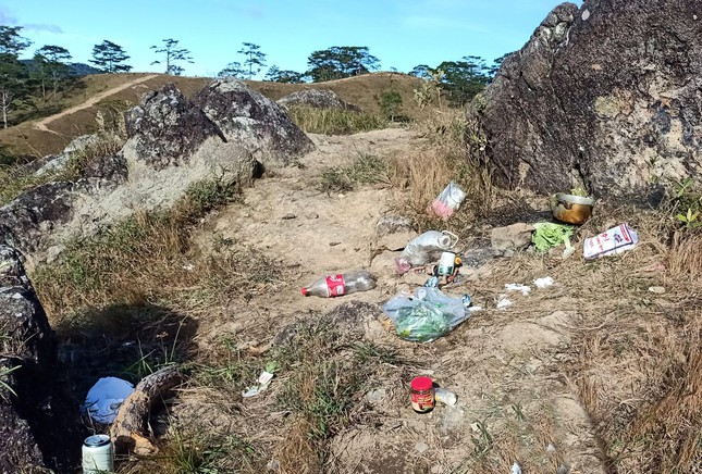 Littering rubbish on the pine hill, the 'cloud hunting' spot in Da Lat - 7