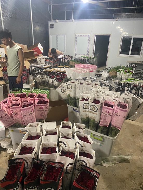 Vựa hoa Nhật Minh: Đối tác tin cậy cung cấp hoa tươi toàn quốc - 3