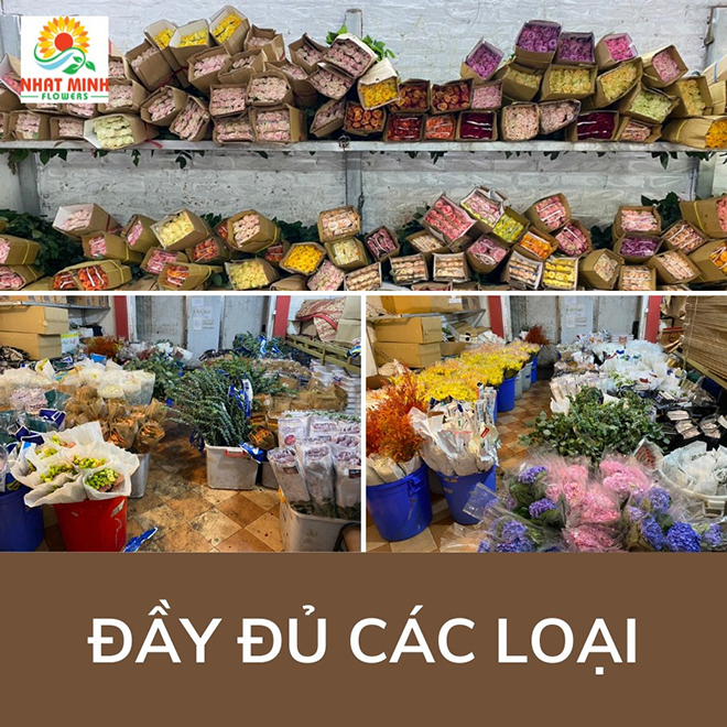 Vựa hoa Nhật Minh: Đối tác tin cậy cung cấp hoa tươi toàn quốc - 4