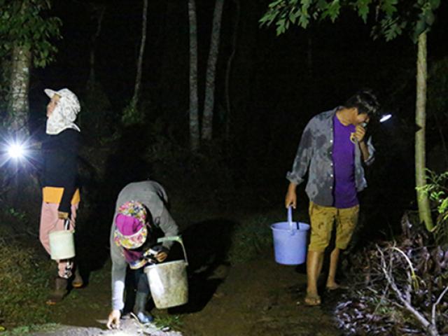 Thị trường - Tiêu dùng - Loài đặc sản xuất hiện khi trời tối, dân đi "săn" kiếm tiền triệu mỗi đêm