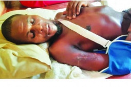 Phi thường - kỳ quặc - Đi câu cá, bất ngờ bị 4 con cá sấu "phục kích" và diễn biến khó tin sau đó