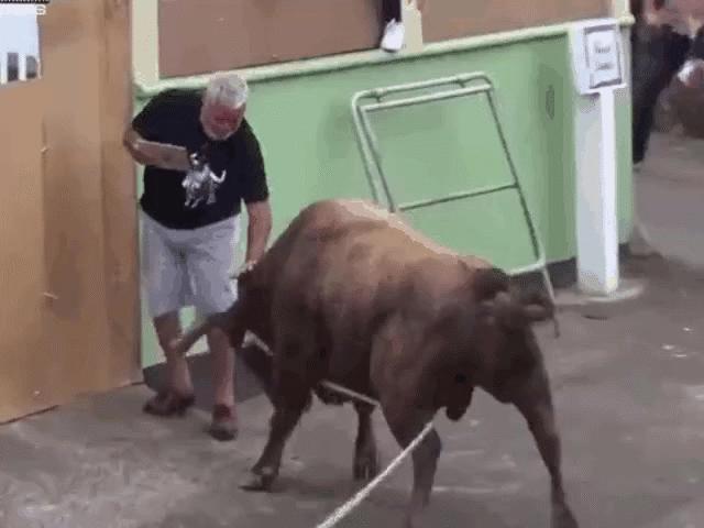 Video - Clip: Bò húc văng người đàn ông rồi dùng sừng tấn công điên cuồng