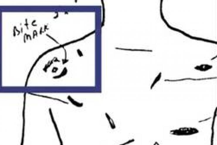 Động cơ bí ẩn của cô gái đẩy người yêu cũ vào tù: Cái chết khủng khiếp