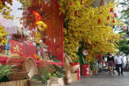 Tin tức trong ngày - Người dân TP. HCM đua nhau ‘check in’ đầu năm 2023