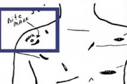 Pháp luật - Động cơ bí ẩn của cô gái đẩy người yêu cũ vào tù: Cái chết khủng khiếp