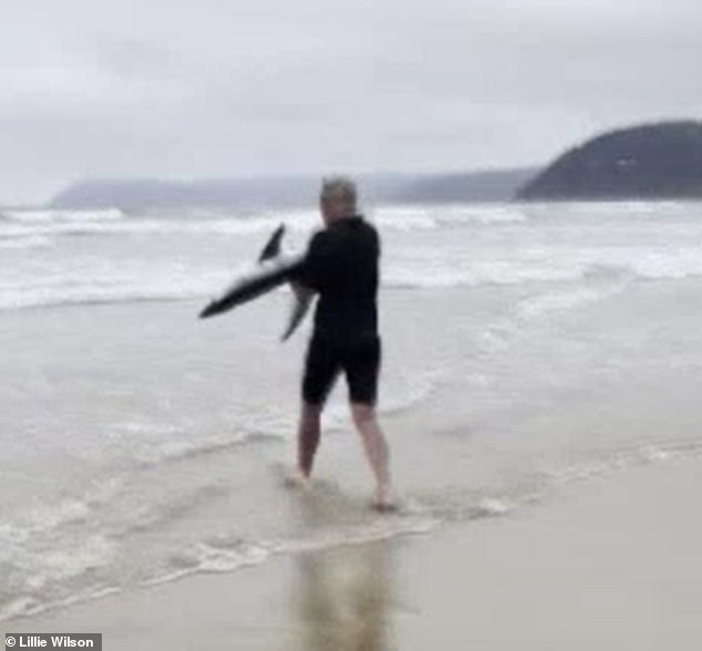 Người đàn ông Úc bế con cá mập bị mắc cạn.