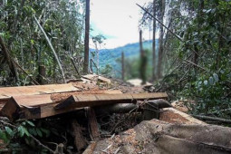 Tin tức trong ngày - Hạt phó kiểm lâm nhận hối lộ của 'lâm tặc' qua tài khoản của vợ