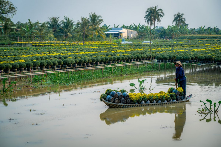 Thuyền hoa Sa Đéc hối hả về chợ Tết - 6