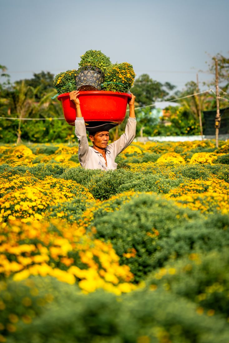 Thuyền hoa Sa Đéc hối hả về chợ Tết - 7