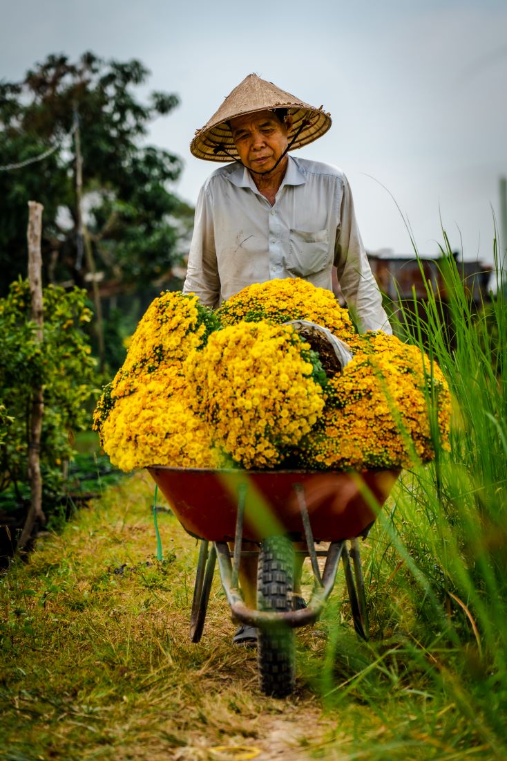 Thuyền hoa Sa Đéc hối hả về chợ Tết - 9