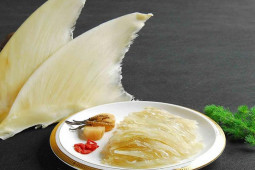 Ẩm thực - Vây cá mập được ví như thuốc bổ thượng hạng, xa xỉ nhưng có thực sự tốt?