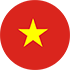 ĐT Việt Nam