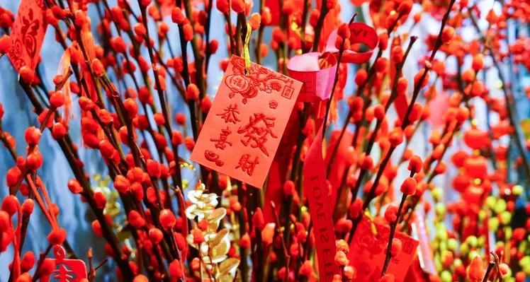 13 loại hoa quả ngày Tết mang lại may mắn - 2