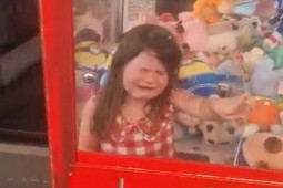 Bạn trẻ - Cuộc sống - Bé gái 4 tuổi ở Úc bị mắc kẹt trong máy gắp đồ chơi chỉ vì muốn “lấy trộm” gấu bông