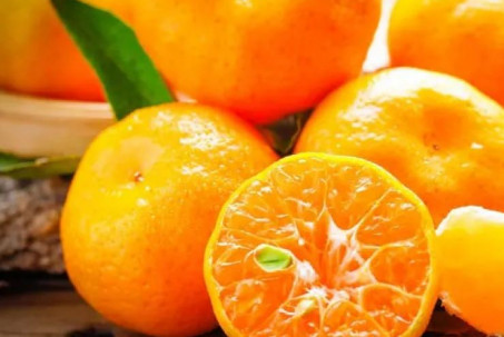 13 loại hoa quả ngày Tết mang lại may mắn