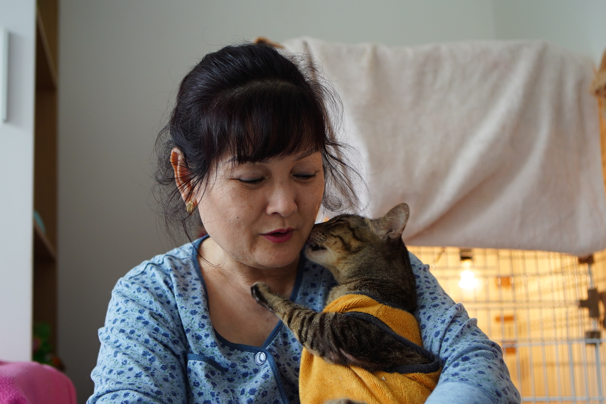 Người phụ nữ cứu hàng trăm con mèo, nhường phòng ngủ, lắp điều hoà cho “thú cưng” - 12