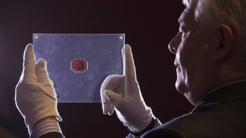 Thứ đắt nhất thế giới tính trên trọng lượng, chưa tới một lạng nhưng giá trăm tỷ - 2