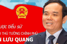 Infographic: Sơ lược tiểu sử tân Phó Thủ tướng Trần Lưu Quang