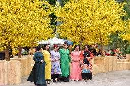 Tin tức trong ngày - "Con đường màu vàng" hút người dân check in Tết sớm ở TP.HCM