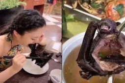 Ẩm thực - Những món ăn kinh dị ở Indonesia khiến du khách "khóc thét"