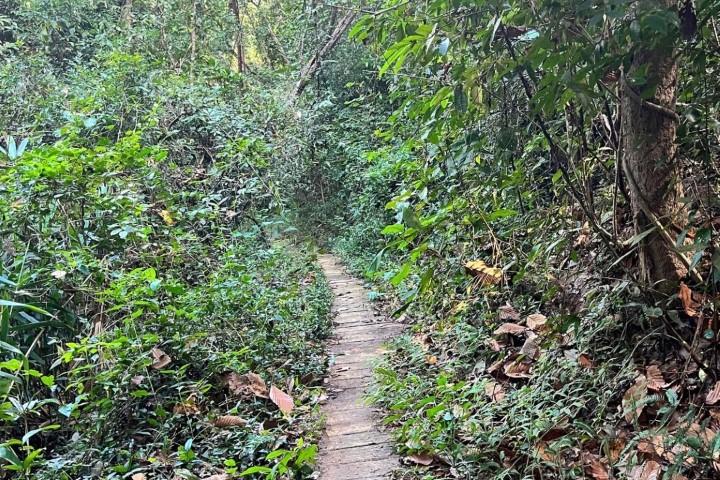 Những điều nên làm khi bạn du lịch Chiang Mai, Thái Lan cùng người yêu - 5