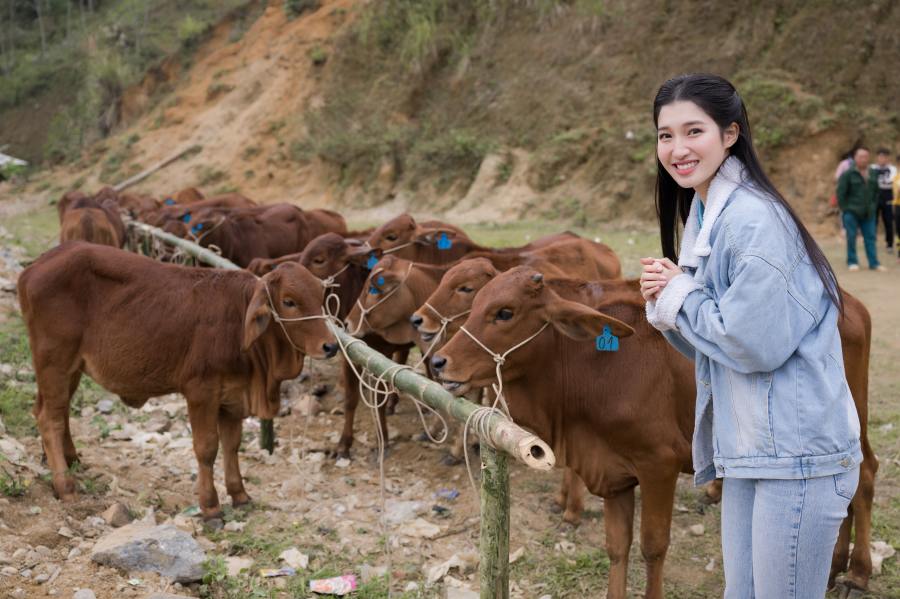 Đi dắt bò, nàng hậu quê Thanh Hoá mặc giản dị vẫn đẹp rạng ngời - 6