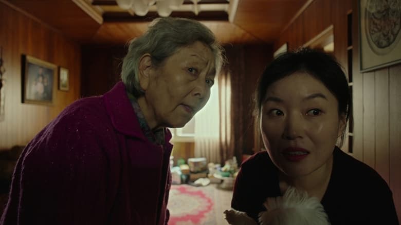 Xem phim "Hãy chăm sóc mẹ": Đừng quá khắt khe với mẹ! - 3