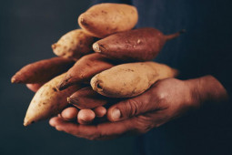 Media - 2 loại củ ngon, bổ, rẻ là "sát thủ" của ung thư