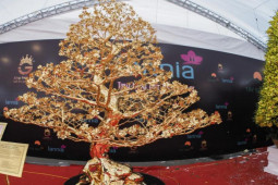 Thị trường - Tiêu dùng - Nóng tuần qua: Xuất hiện cây mai 6 tỉ đồng trên thị trường