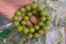 Thị trường - Tiêu dùng - Kỳ lạ loại đá có thể phát sáng, giá hàng chục triệu/viên vẫn “cháy” hàng